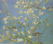 Blossoming Almond Tree (nn04) Vincent Van Gogh